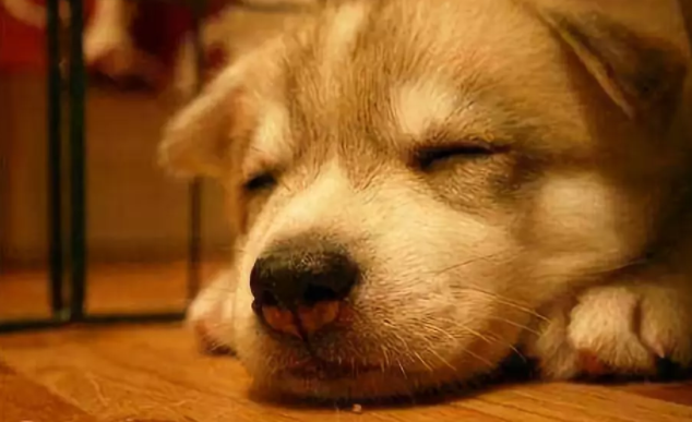 �f������ʳƷ����İ�������˽��^������Դ�᣿