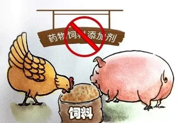 節(jié)能減排|環(huán)保型飼料的趨勢和意義 節(jié)能減排|環(huán)保型飼料的趨勢和意義