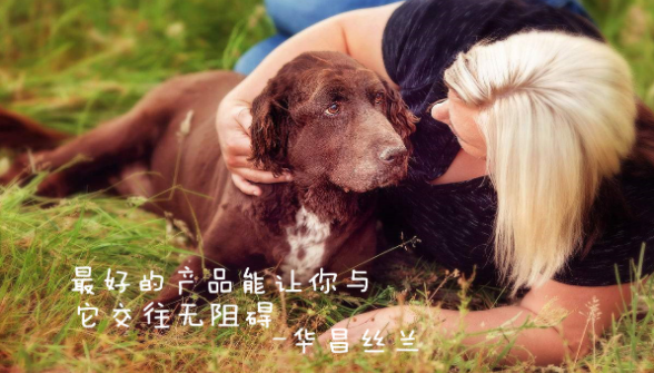 �z�m��ȡ�����錙������ڌ���ʳƷ�е�����ֻ�г������