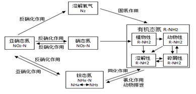 �°l(f��)�F(xi��n)�����Ͱ����́������}��ͬ�r������