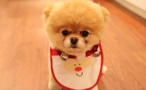 ��Ȯ���ҁy���y��̎����Ѭ������ι��(y��u)�m��
