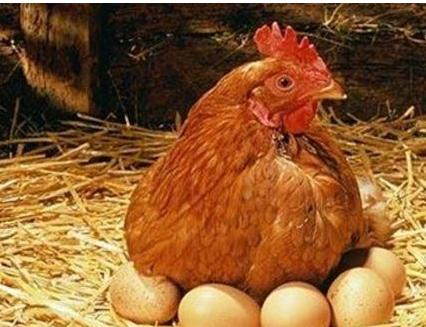�ﶬ���u���������������(l��i)�˾޴�ēpʧ��ԓ��η�����