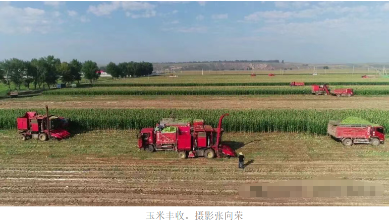 1762826425861994.png image.png