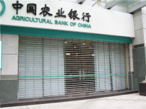 案例展示