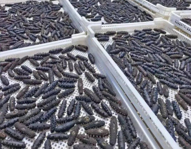 һ�ֻ�Դ����