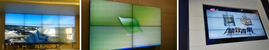qyxt38.jpg