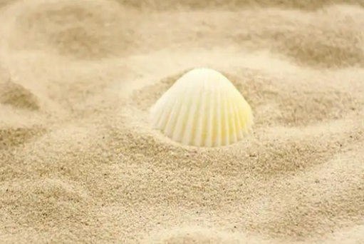 1749114353174974.png 海沙1.png