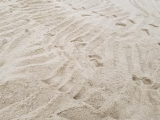 海砂與淡水沙的區別