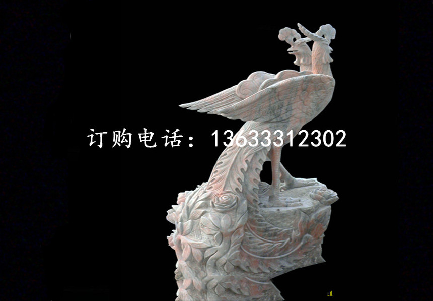 23555.jpg