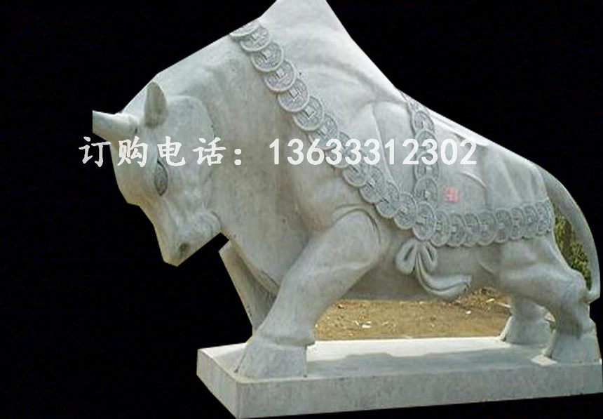 9895662.jpg