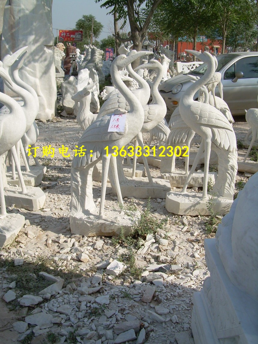 DSCN3011.jpg