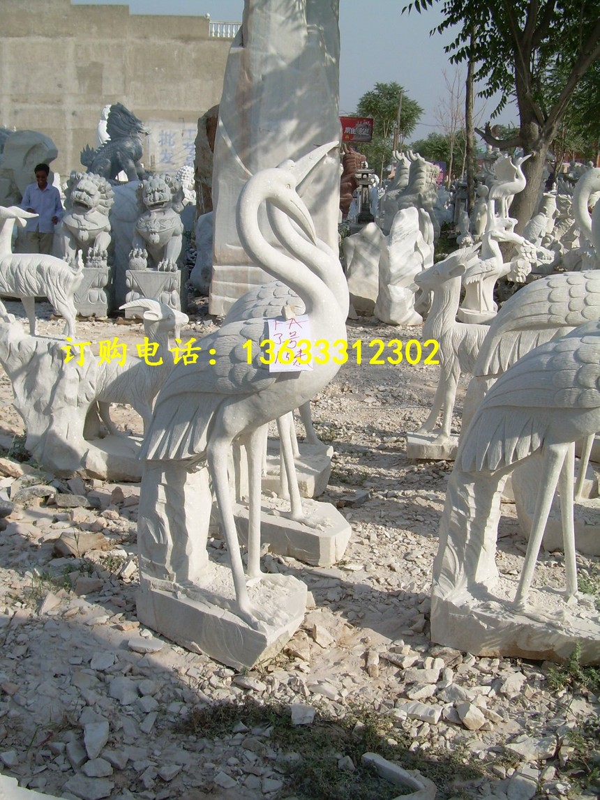DSCN3013.jpg