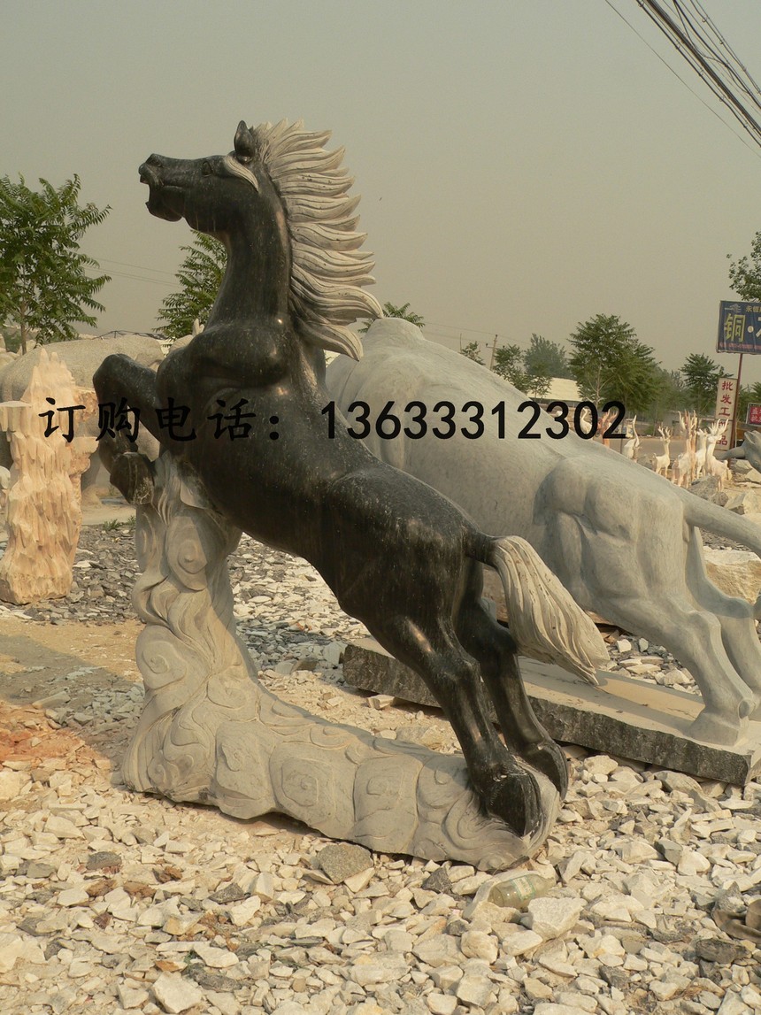17548.jpg