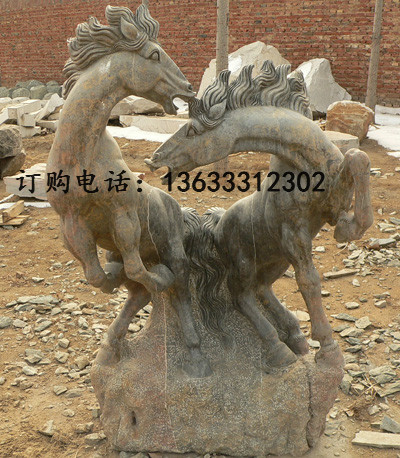horse.jpg