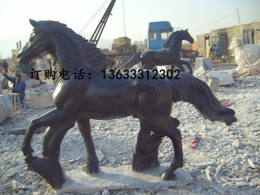 S7001076 (2).jpg