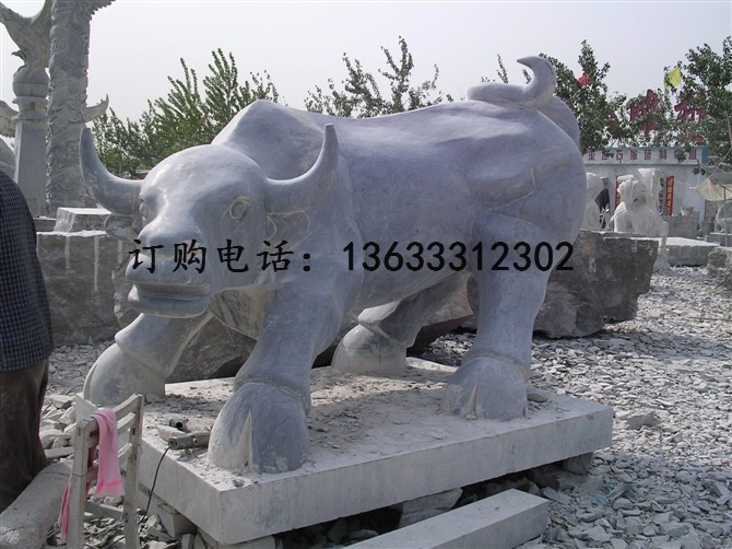 DSCN2349.jpg