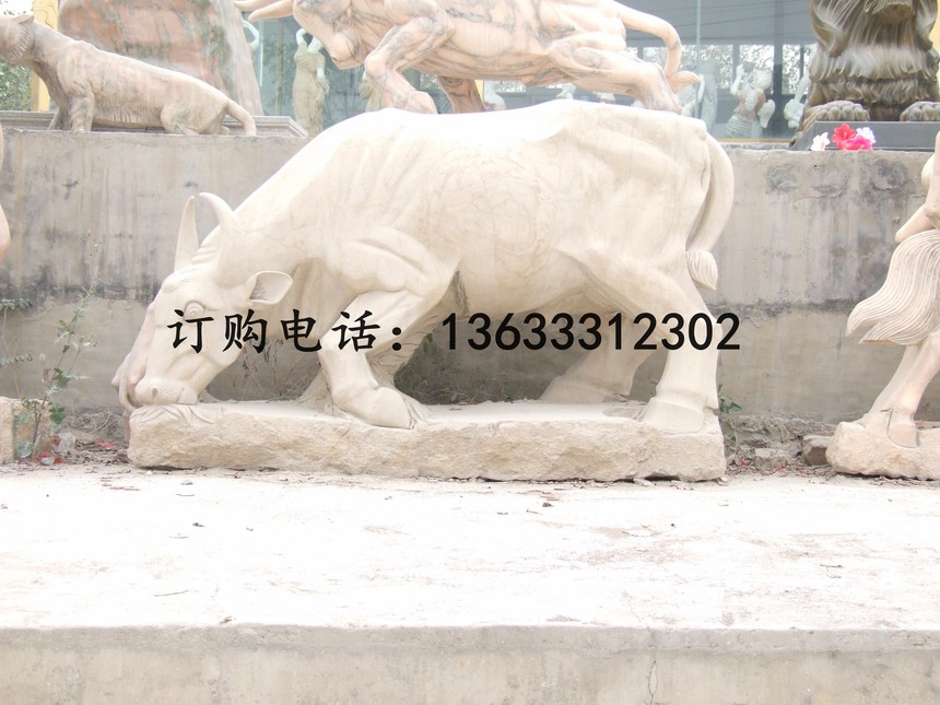 13954.jpg