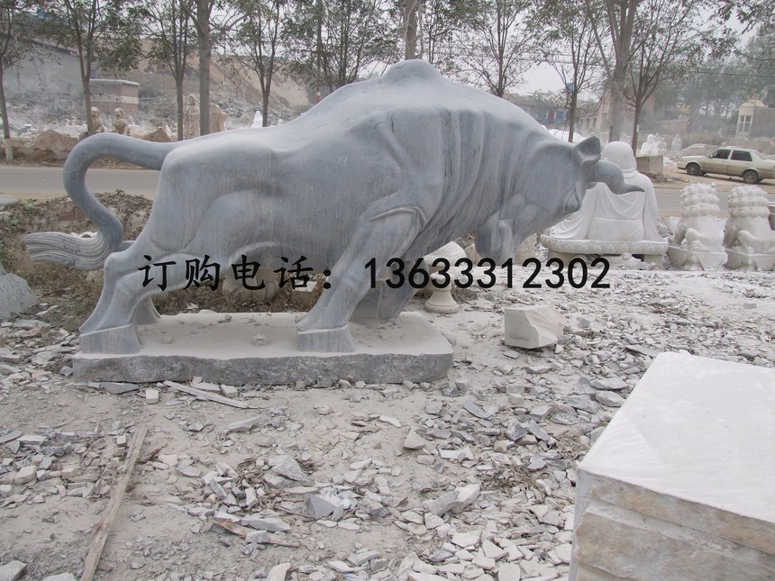 13956.jpg