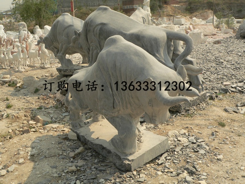 niu1.jpg
