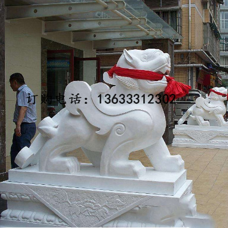 36445.jpg