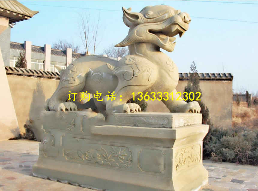 89884.jpg