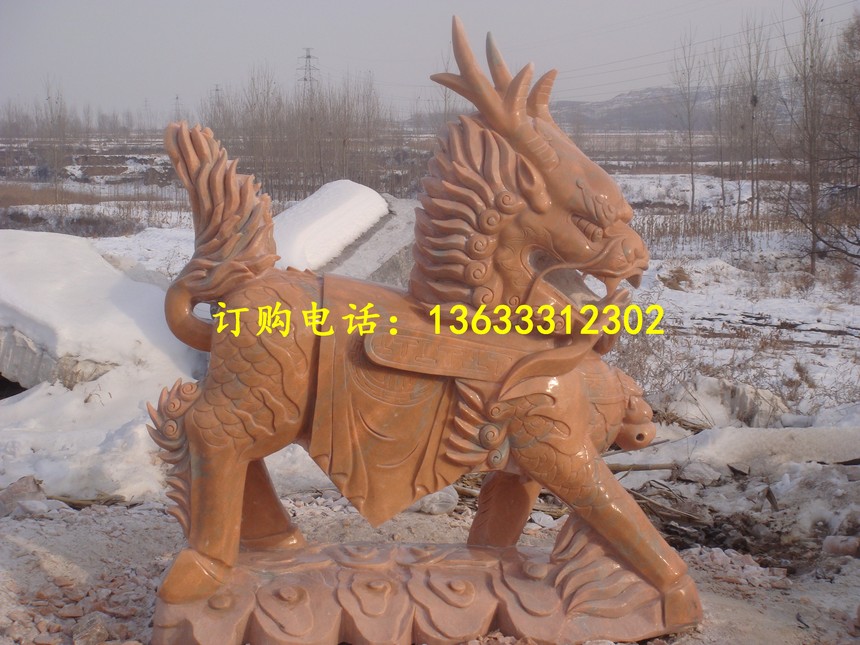 DSC01207.jpg