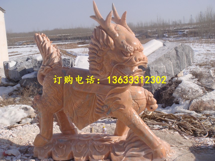 DSC01212.jpg