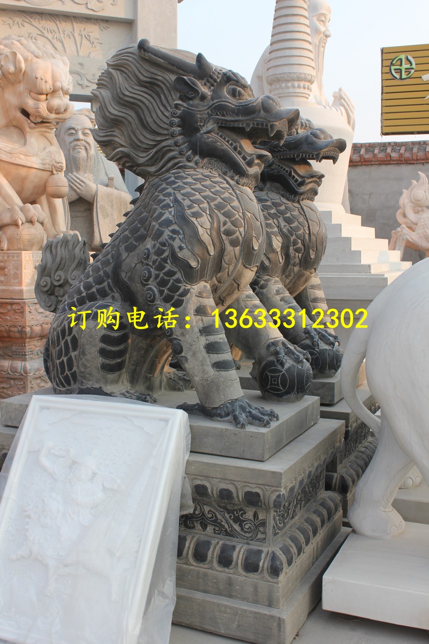 IMG_5410.jpg