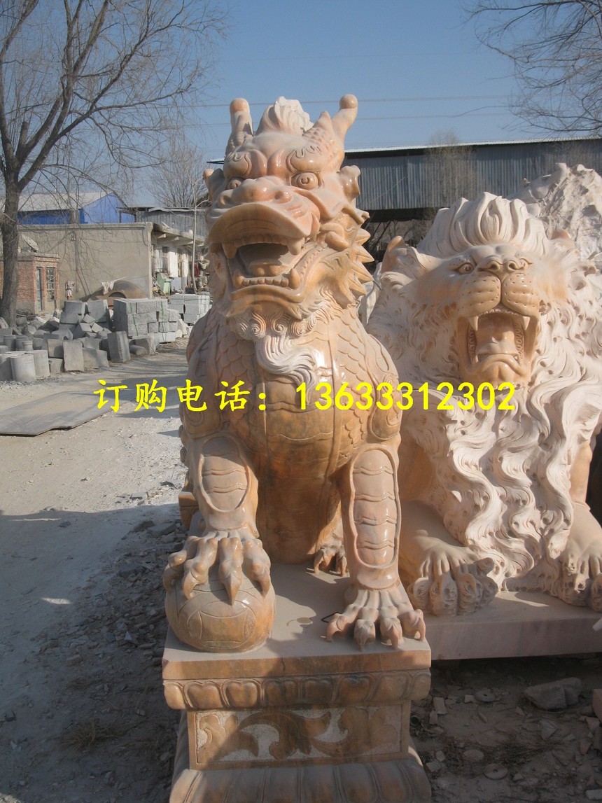 IMG_6472.jpg