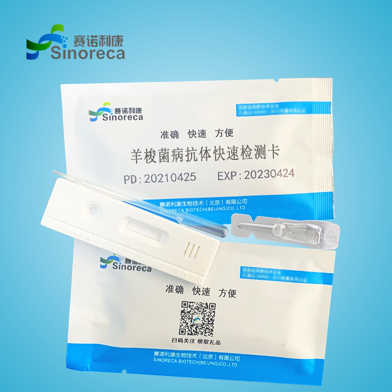 羊梭菌m.jpg