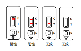 炭疽杆菌抗原检测卡-牛羊炭疽检测