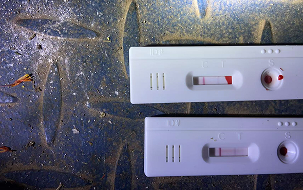 δ(bio)}-1.jpg