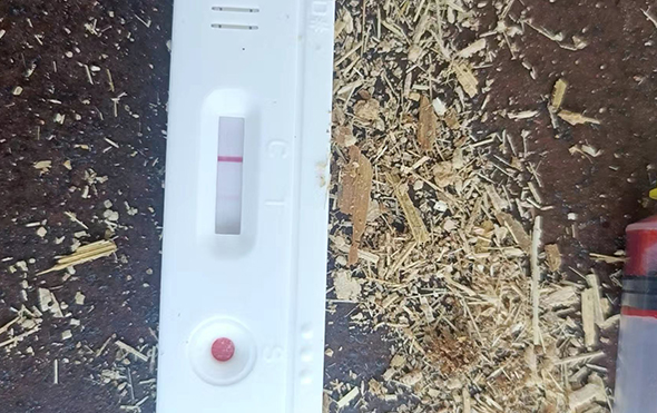 δ(bio)}-1.jpg