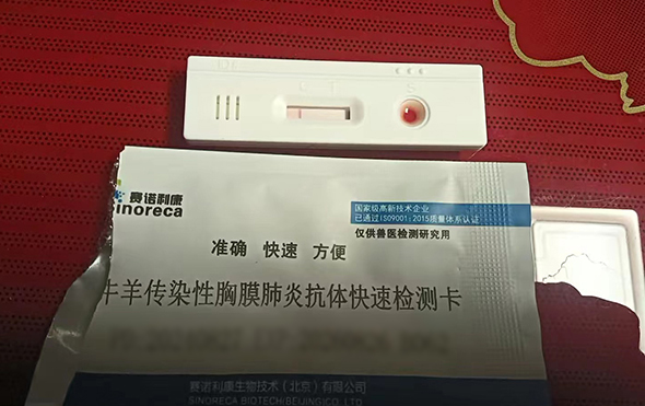 δ}-12.jpg