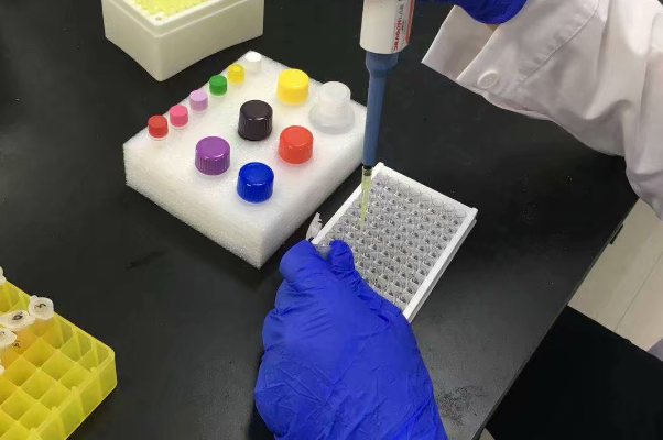 1765166108797232.png 6cc6ff6dad2efaf41b1753299d150003.png