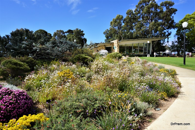 rain-gardens.jpg
