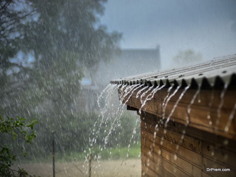 rainwater.jpg