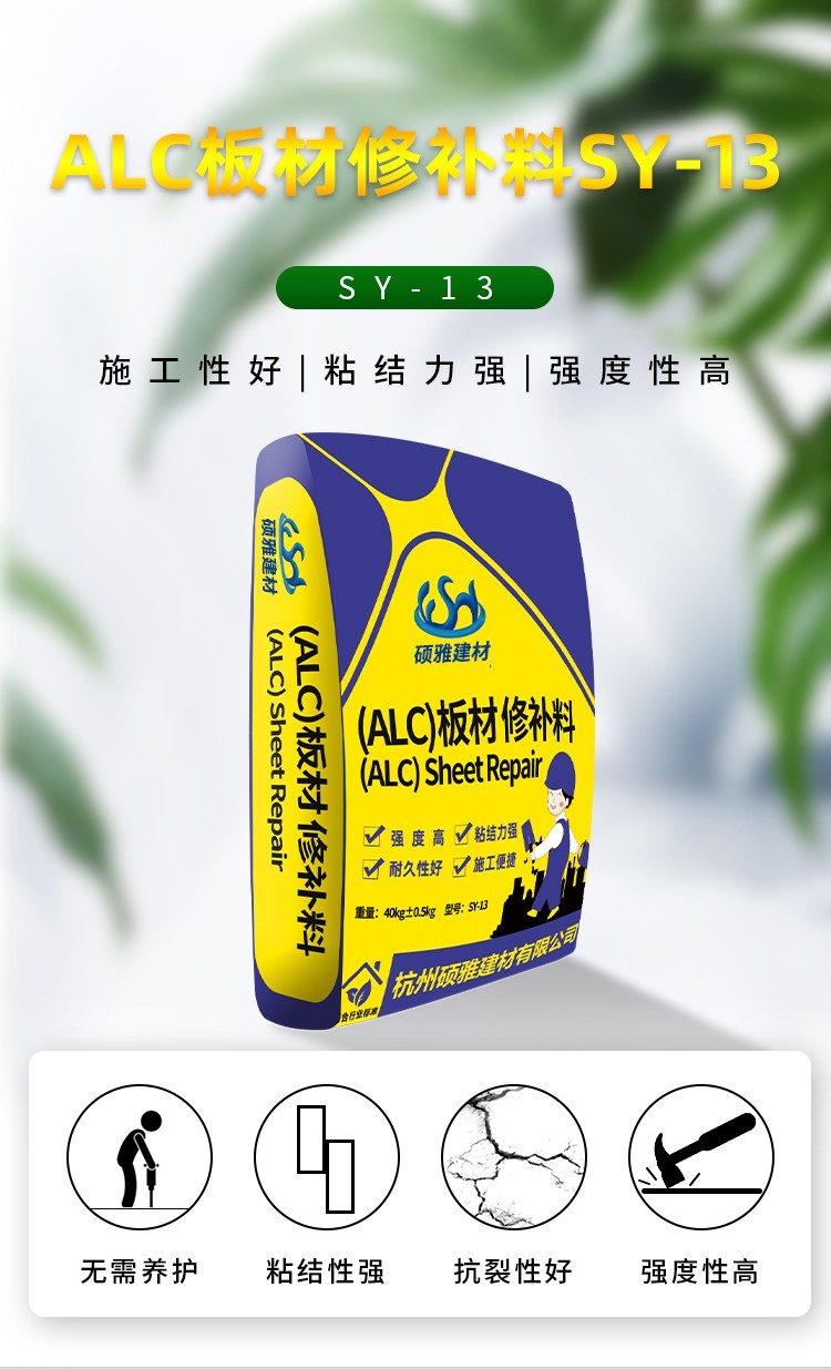 2ALC޲SY-13_01.jpg