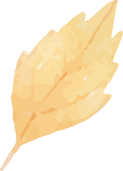΢ͼƬ_20241120165408.png