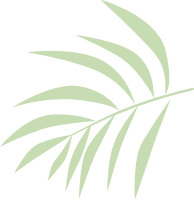 Ÿ - (1)110.png