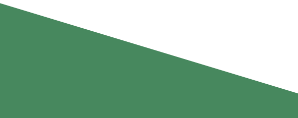 Ÿ - (1)497.png