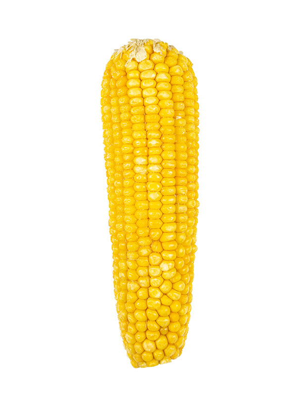 SŴ2.jpg
