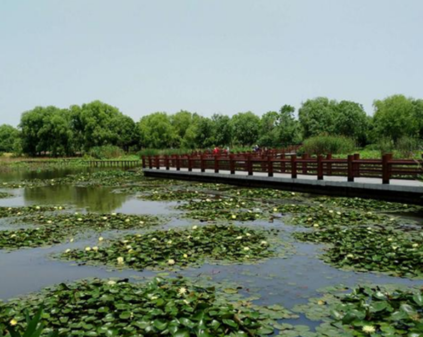 太湖图影生态湿地文化园