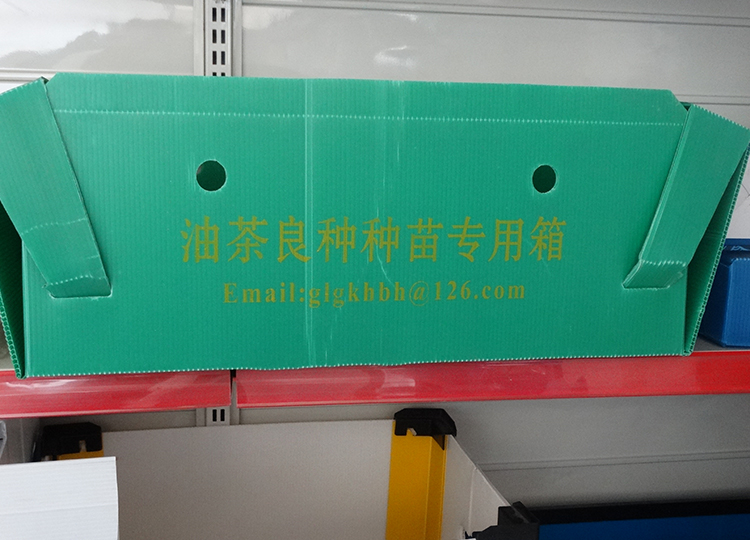ʳƷ