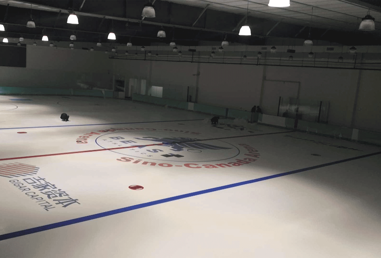 �˶����������