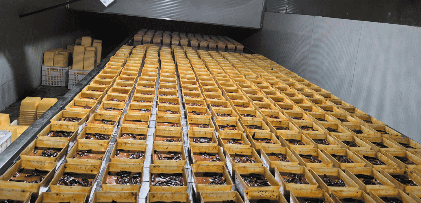 �ٶ�����