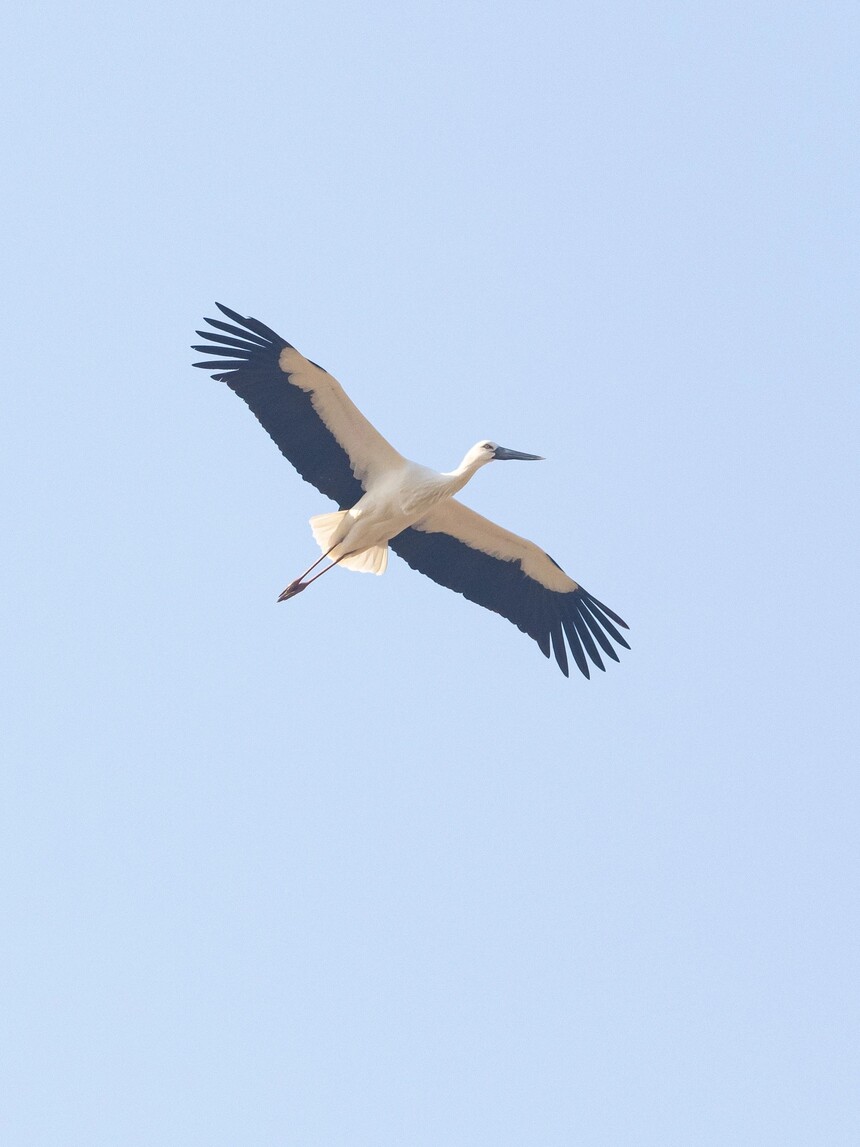 mmexport1740449720349.jpg