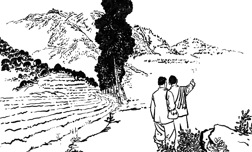 92addde41c0775de7008d9b2d2eaf0a.png