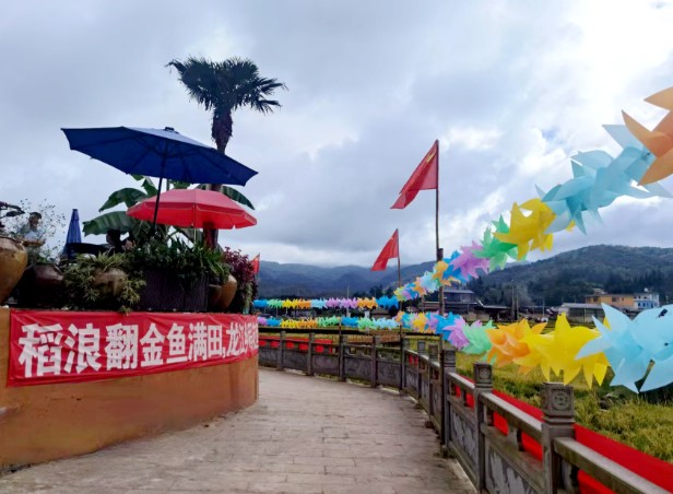 1760097421162668.jpg 17.jpg