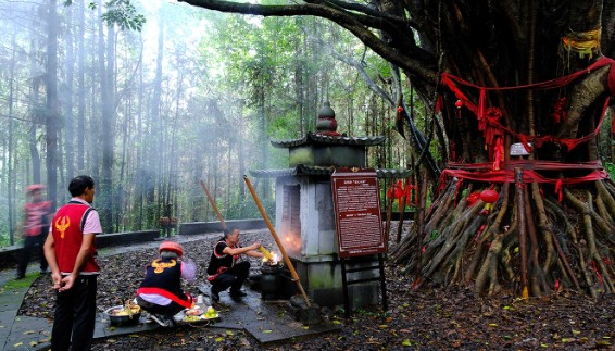 1760364747276839.jpg 18.jpg